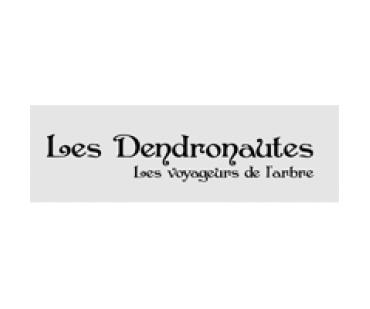 Dendronautes